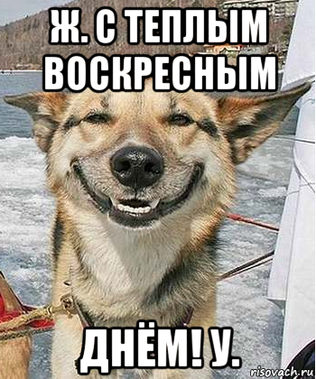 ж. с теплым воскресным днём! у.