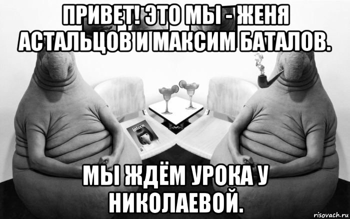 привет! это мы - женя астальцов и максим баталов. мы ждём урока у николаевой.