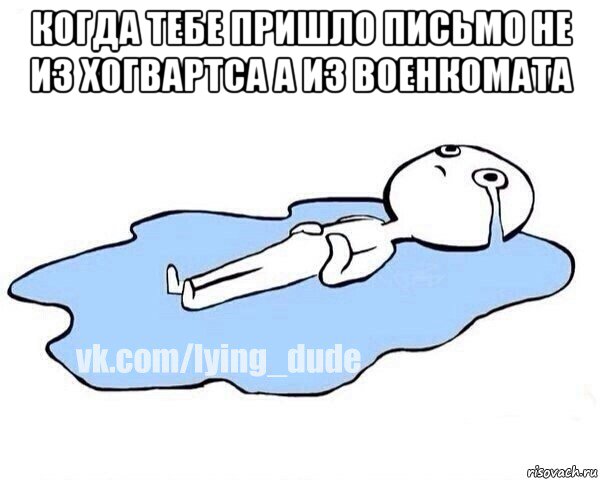 когда тебе пришло письмо не из хогвартса а из военкомата , Мем Этот момент когда