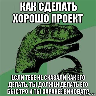 как сделать хорошо проект если тебе не сказали как его делать, ты должен делать его быстро и ты заранее виноват?, Мем Филосораптор