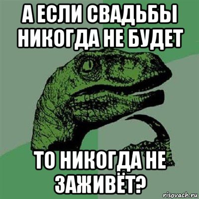 а если свадьбы никогда не будет то никогда не заживёт?, Мем Филосораптор