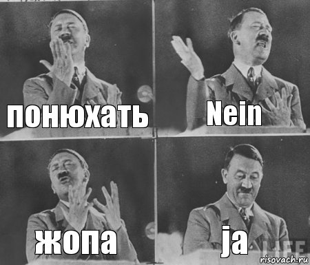 понюхать Nein жопа ja