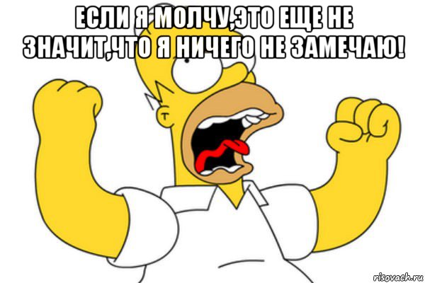 если я молчу,это еще не значит,что я ничего не замечаю! , Мем Разъяренный Гомер