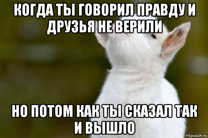 когда ты говорил правду и друзья не верили но потом как ты сказал так и вышло, Мем  Гордый козленок