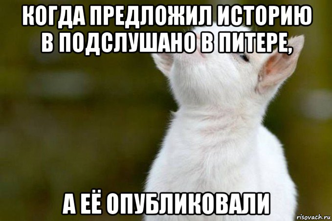 когда предложил историю в подслушано в питере, а её опубликовали, Мем  Гордый козленок