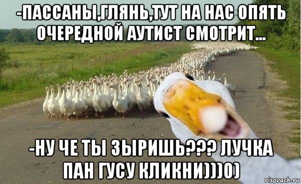 -пассаны,глянь,тут на нас опять очередной аутист смотрит... -ну че ты зыришь??? лучка пан гусу кликни)))0), Мем гуси