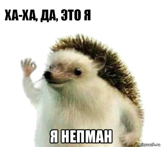  я непман