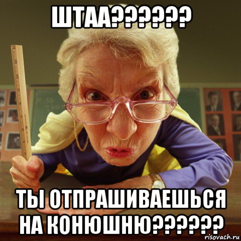 штаа?????? ты отпрашиваешься на конюшню??????, Мем Злая училка