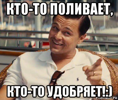 кто-то поливает, кто-то удобряет!:), Мем Хитрый Гэтсби