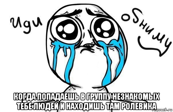  когда попадаешь в группу незнакомых тебе людей и находишь там ролевика, Мем Иди обниму