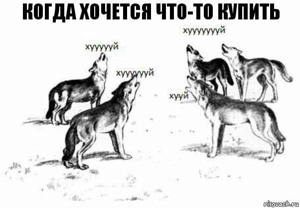 Когда хочется что-то купить, Комикс Когда хочешь