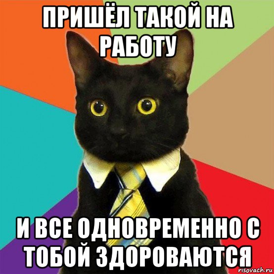 пришёл такой на работу и все одновременно с тобой здороваются, Мем  Кошечка