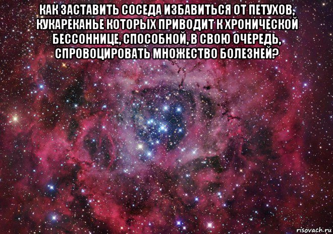 как заставить соседа избавиться от петухов, кукареканье которых приводит к хронической бессоннице, способной, в свою очередь, спровоцировать множество болезней? 