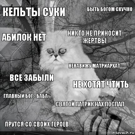 кельты суки не хотят чтить никто не приносит жертвы прутся со своих героев все забыли быть богом скучно святой патрик нах послал абилок нет главный бог - баба ненавижу матриархат, Комикс  кот безысходность