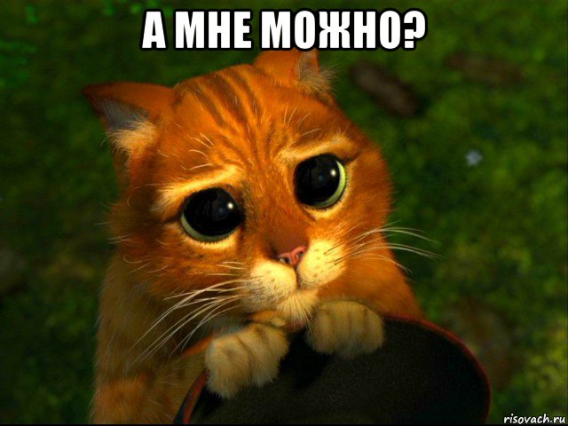 а мне можно? , Мем кот из шрека