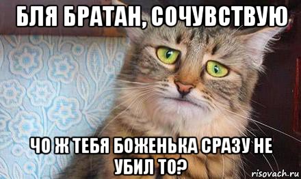 бля братан, сочувствую чо ж тебя боженька сразу не убил то?, Мем  кот печаль