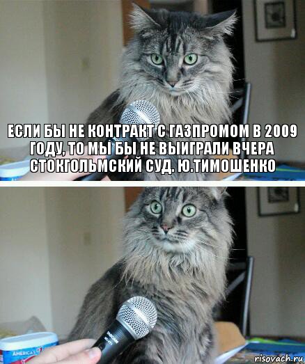 Если бы не контракт с Газпромом в 2009 году, то мы бы не выиграли вчера стокгольмский суд. Ю.Тимошенко , Комикс  кот с микрофоном