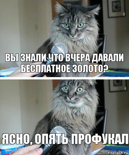 Вы знали что вчера давали бесплатное золото? Ясно, опять профукал, Комикс  кот с микрофоном