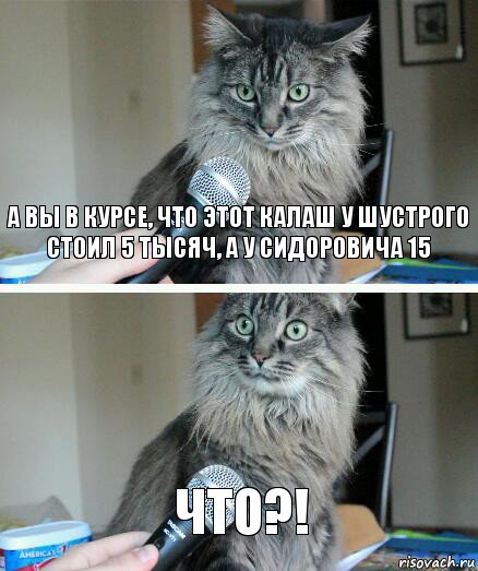 А вы в курсе, что этот Калаш у Шустрого стоил 5 тысяч, а у Сидоровича 15 Что?!, Комикс  кот с микрофоном