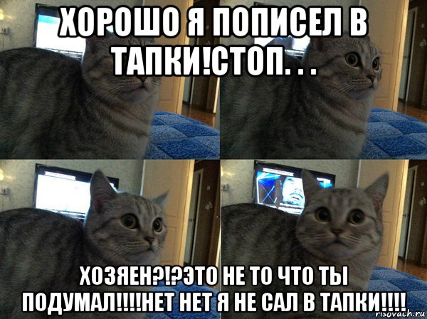 хорошо я пописел в тапки!стоп. . . хозяен?!?это не то что ты подумал!!!!нет нет я не сал в тапки!!!!, Мем  Кот в шоке