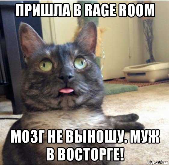 пришла в rage room мозг не выношу. муж в восторге!, Мем   Кот завис