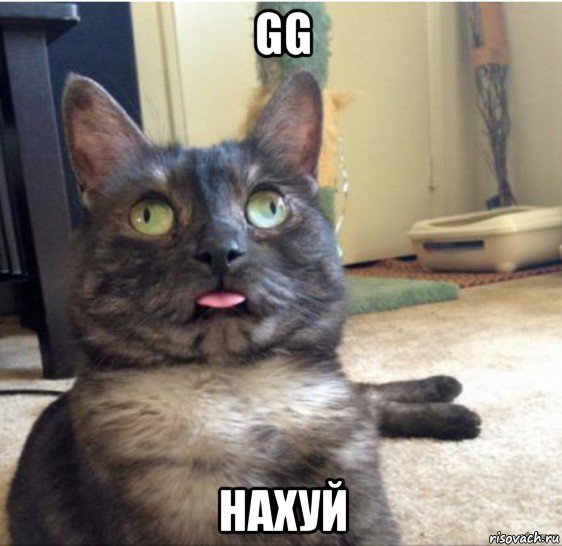 gg нахуй, Мем   Кот завис