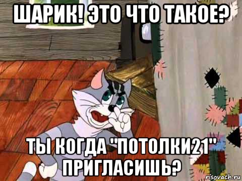 шарик! это что такое? ты когда "потолки21" пригласишь?, Мем Кот Матроскин возмущен