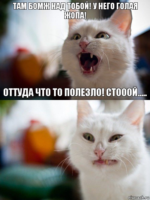 Там бомж над тобой! У него голая жопа! Оттуда что то полезло! Стооой....., Комикс   Котэ предупреждал