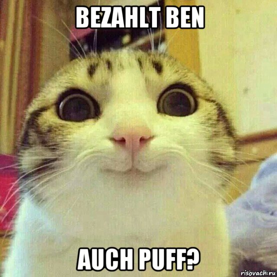 bezahlt ben auch puff?, Мем       Котяка-улыбака