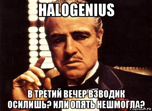 halogenius в третий вечер взводик осилишь? или опять нешмогла?, Мем крестный отец