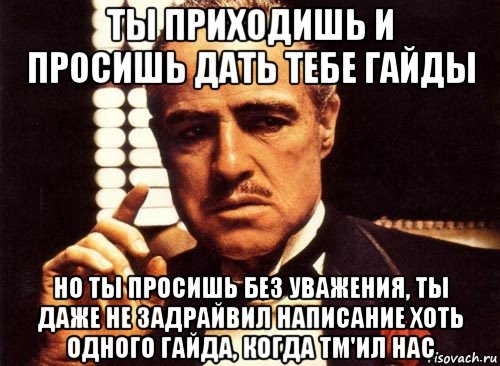 ты приходишь и просишь дать тебе гайды но ты просишь без уважения, ты даже не задрайвил написание хоть одного гайда, когда tm'ил нас, Мем крестный отец