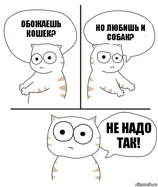 Обожаешь кошек? Но любишь и собак? Не надо так!, Комикс Не надо так кот