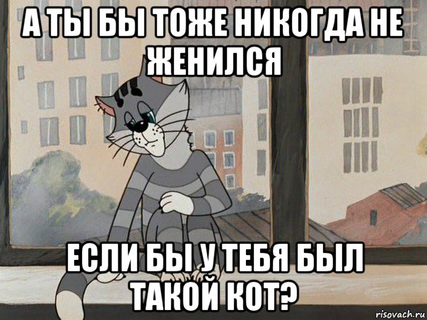 а ты бы тоже никогда не женился если бы у тебя был такой кот?, Мем Матроскин