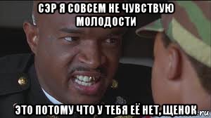 сэр я совсем не чувствую молодости это потому что у тебя её нет, щенок