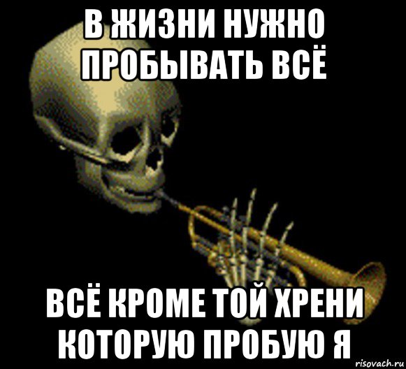 в жизни нужно пробывать всё всё кроме той хрени которую пробую я, Мем Мистер дудец