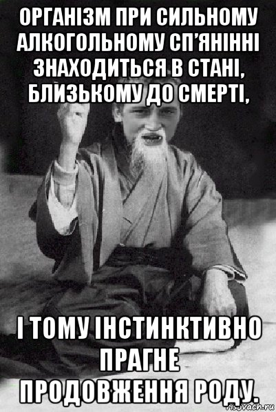 організм при сильному алкогольному сп’янінні знаходиться в стані, близькому до смерті, і тому інстинктивно прагне продовження роду., Мем Мудрий паца