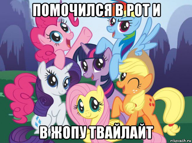 помочился в рот и в жопу твайлайт, Мем My little pony