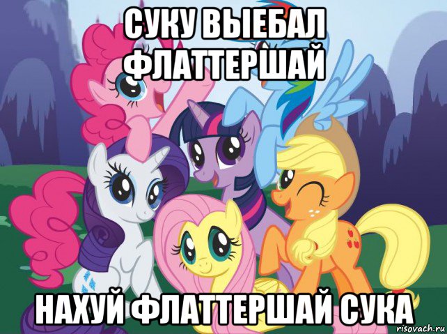 суку выебал флаттершай нахуй флаттершай сука, Мем My little pony