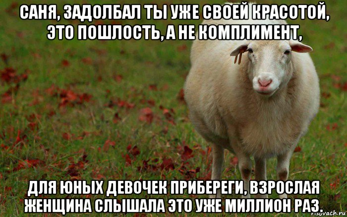 саня, задолбал ты уже своей красотой, это пошлость, а не комплимент, для юных девочек прибереги, взрослая женщина слышала это уже миллион раз.