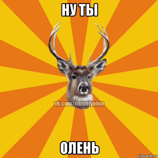 ну ты олень