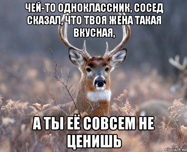 чей-то одноклассник, сосед сказал, что твоя жена такая вкусная, а ты её совсем не ценишь, Мем   Наивный олень