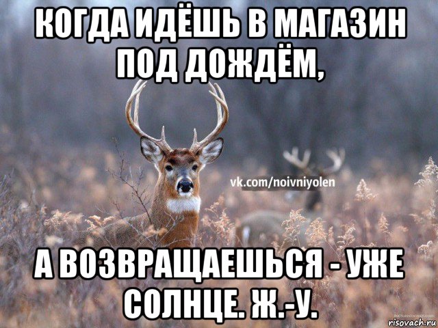 когда идёшь в магазин под дождём, а возвращаешься - уже солнце. ж.-у., Мем Наивный Олень vk