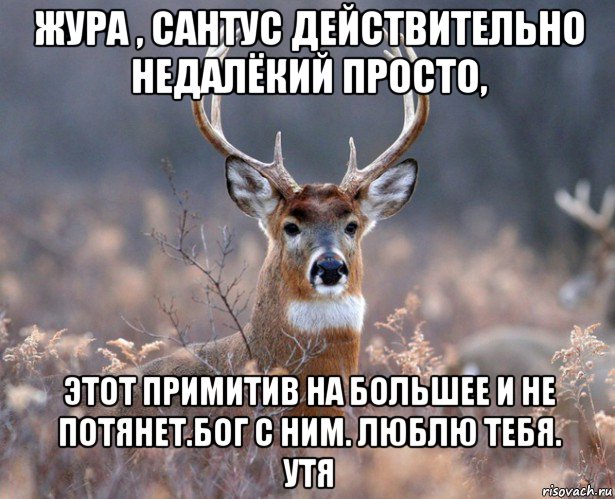 жура , сантус действительно недалёкий просто, этот примитив на большее и не потянет.бог с ним. люблю тебя. утя, Мем   Наивный олень