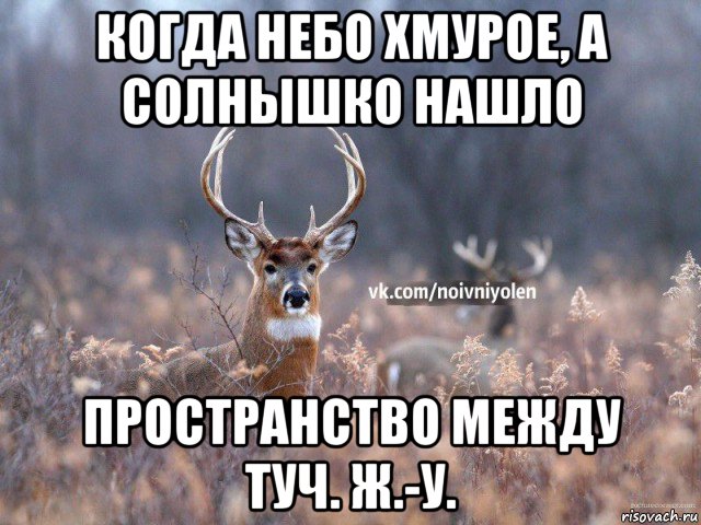 когда небо хмурое, а солнышко нашло пространство между туч. ж.-у., Мем Наивный Олень vk