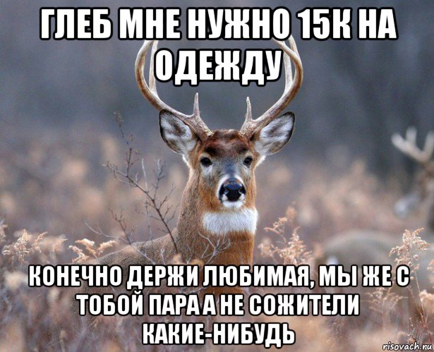 глеб мне нужно 15к на одежду конечно держи любимая, мы же с тобой пара а не сожители какие-нибудь, Мем   Наивный олень