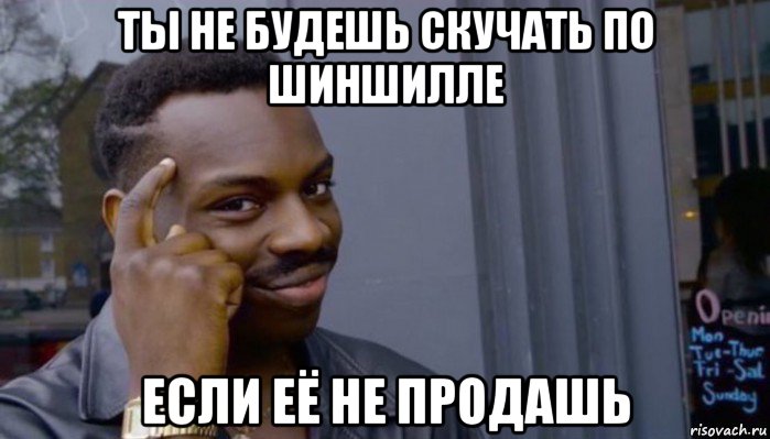 ты не будешь скучать по шиншилле если её не продашь, Мем Не делай не будет