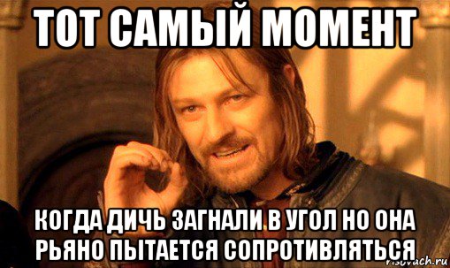 тот самый момент когда дичь загнали в угол но она рьяно пытается сопротивляться, Мем Нельзя просто так взять и (Боромир мем)