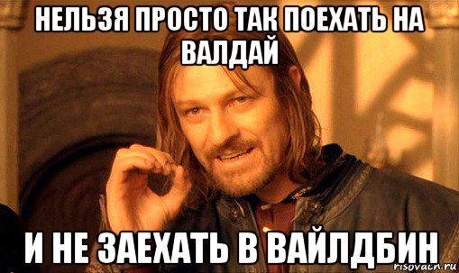 нельзя просто так поехать на валдай и не заехать в вайлдбин, Мем Нельзя просто так взять и (Боромир мем)