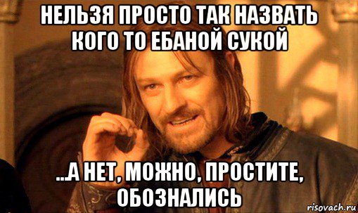 нельзя просто так назвать кого то ебаной сукой ...а нет, можно, простите, обознались, Мем Нельзя просто так взять и (Боромир мем)