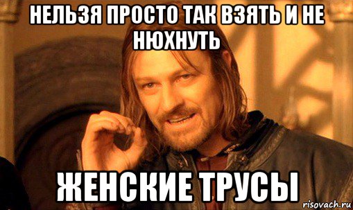 нельзя просто так взять и не нюхнуть женские трусы, Мем Нельзя просто так взять и (Боромир мем)